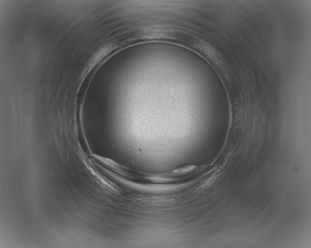 X0000061140986200511241759