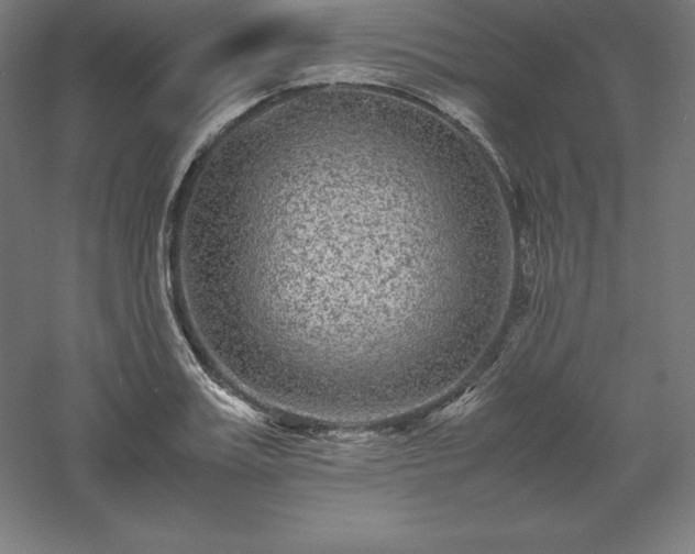 X0000061140987200511241759