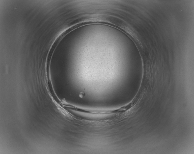 X0000061140988200511241759