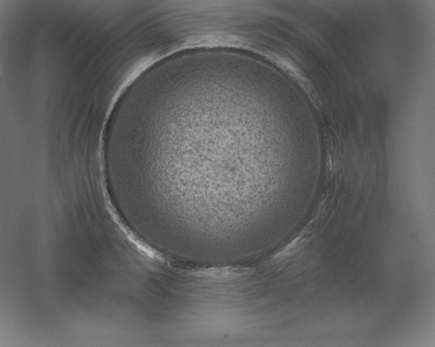 X0000061140990200511241759