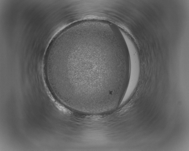 X0000061140991200511241759