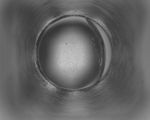 X0000061140992200511241759