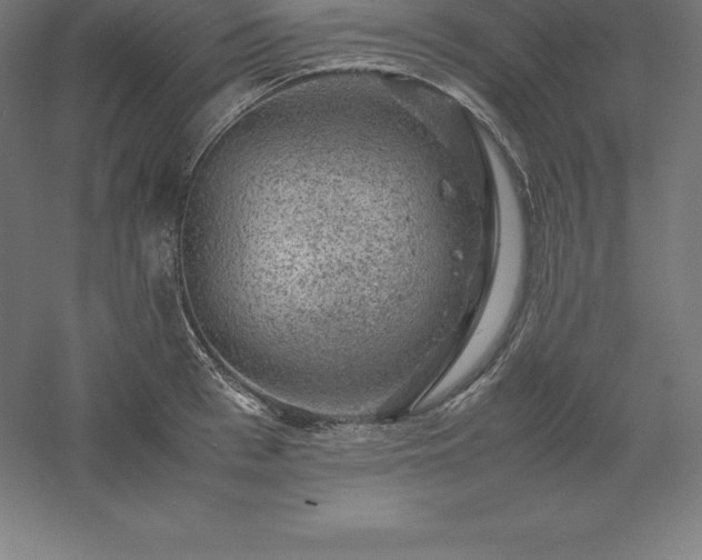 X0000061140993200511241759