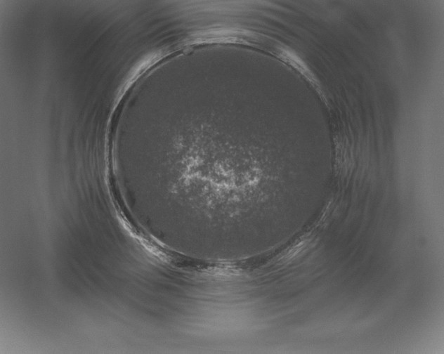 X0000061140994200511241759