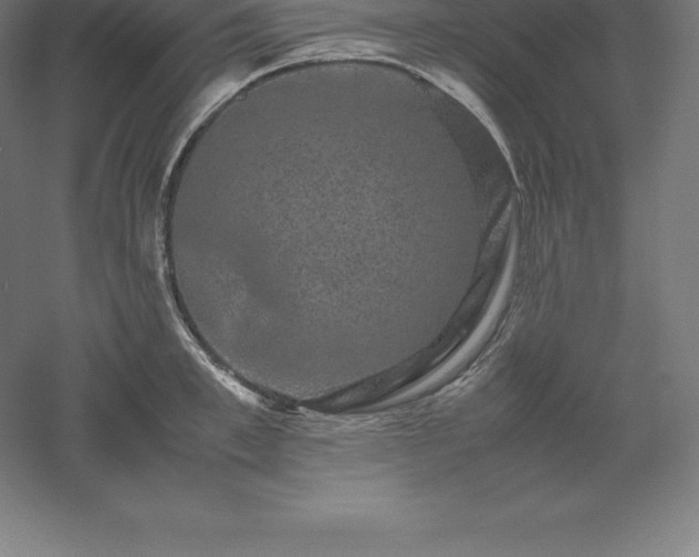 X0000061140997200511241759