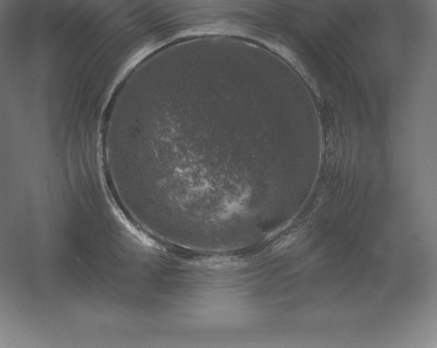 X0000061140998200511241759