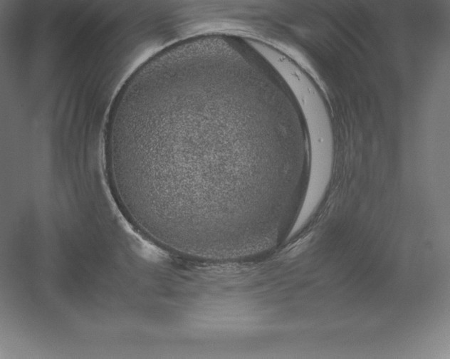 X0000061140999200511241759