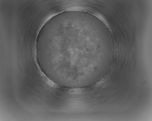 X0000061141000200511241759