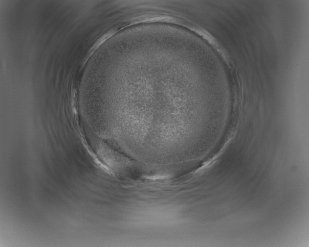 X0000061141001200511241759