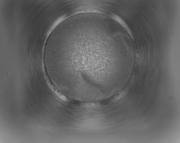 X0000061141002200511241759