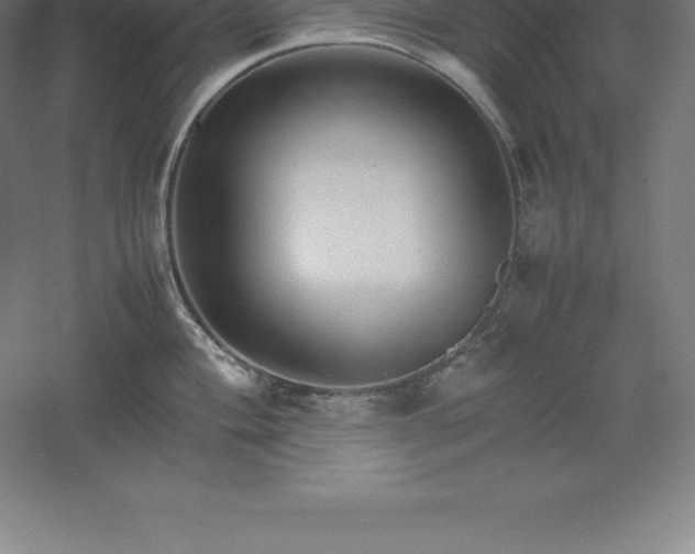 X0000061141004200511241759