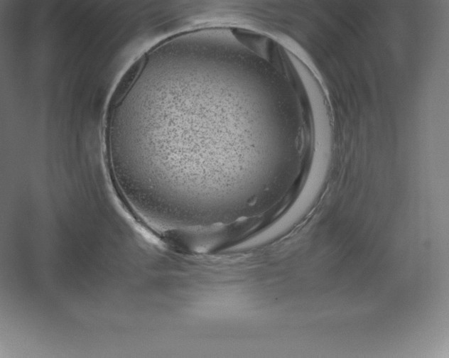 X0000061141005200511241759