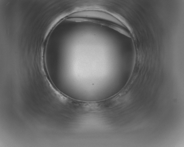 X0000061141006200511241758