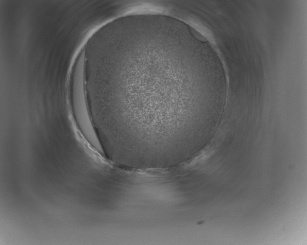 X0000061141008200511241758