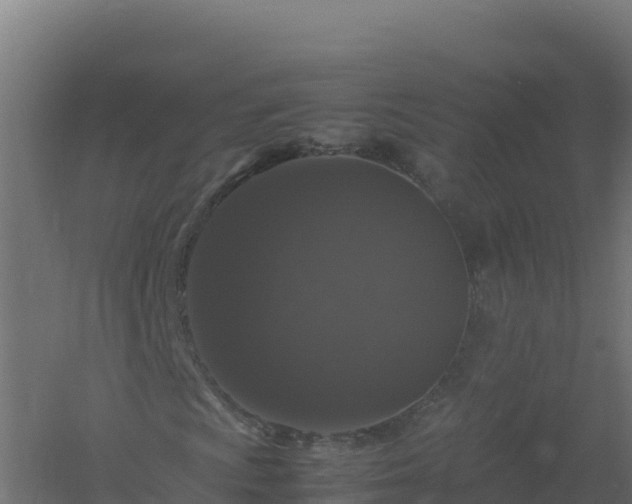 X0000061141009200511241758