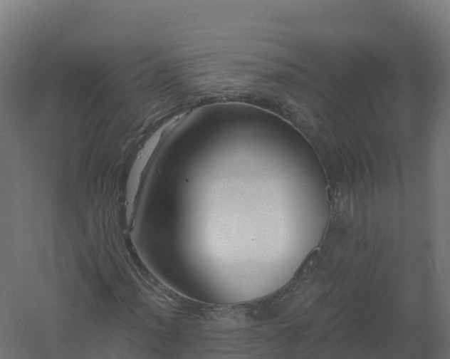 X0000061141012200511241758