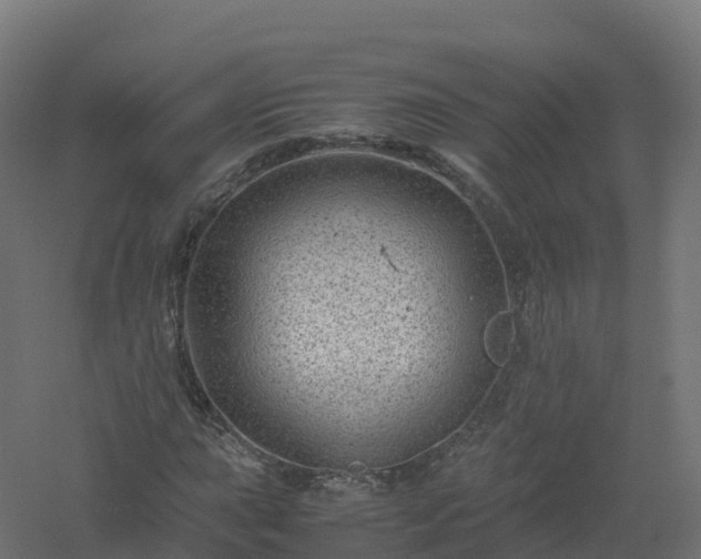 X0000061141015200511241758