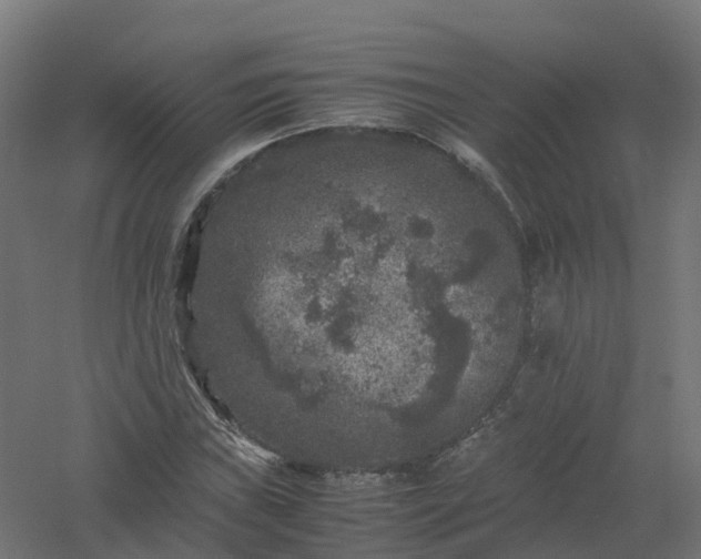 X0000061141019200511241758