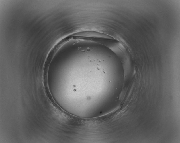 X0000061141020200511241758