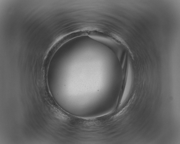 X0000061141021200511241758