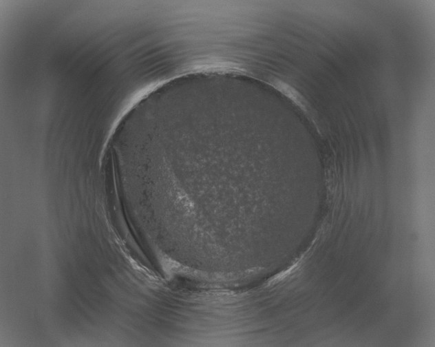 X0000061141022200511241758