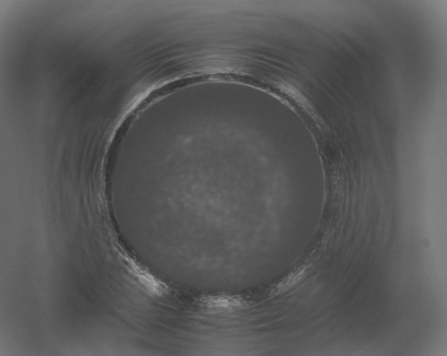 X0000061141023200511241758