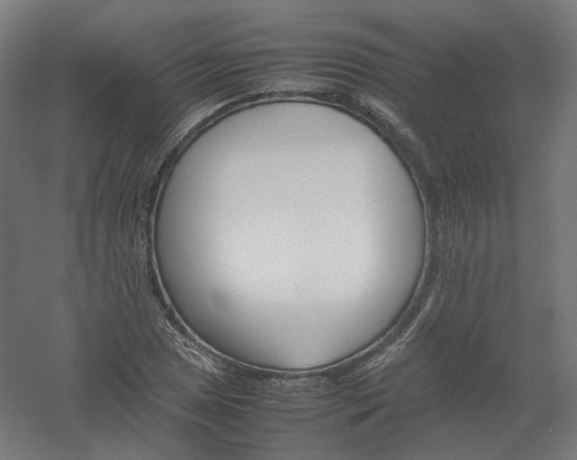 X0000061141025200511241758