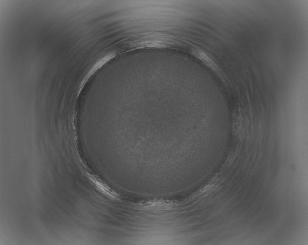 X0000061141026200511241758