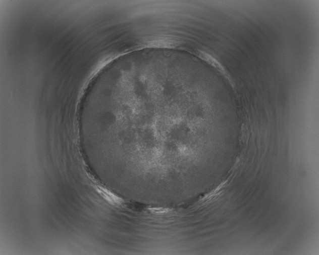 X0000061141027200511241758