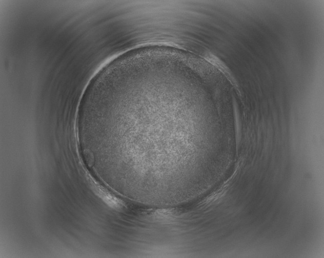 X0000061141028200511241758