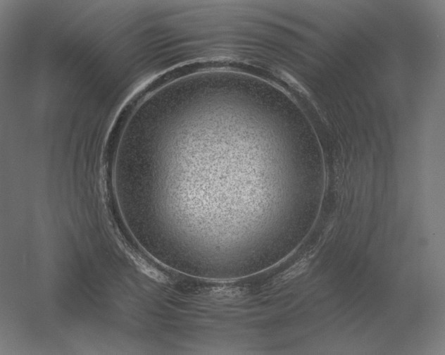 X0000061141029200511241758