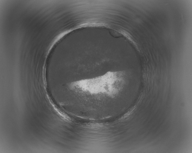 X0000061141030200511241758