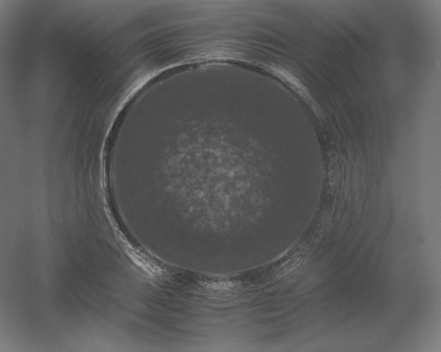 X0000061141031200511241758