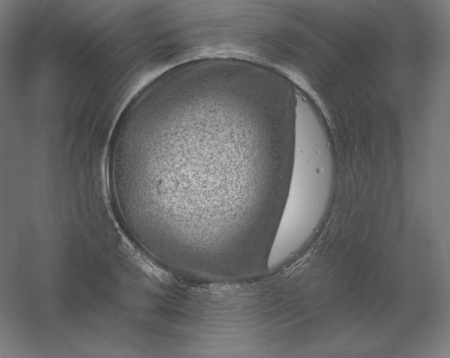 X0000061141032200511241758