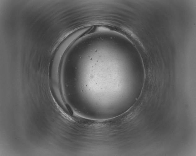 X0000061141033200511241758