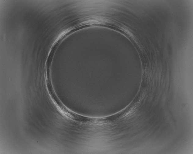 X0000061141034200511241758