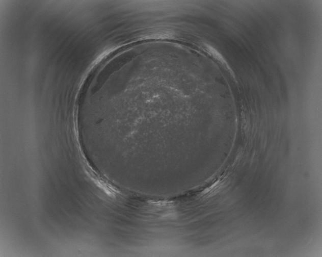 X0000061141035200511241758