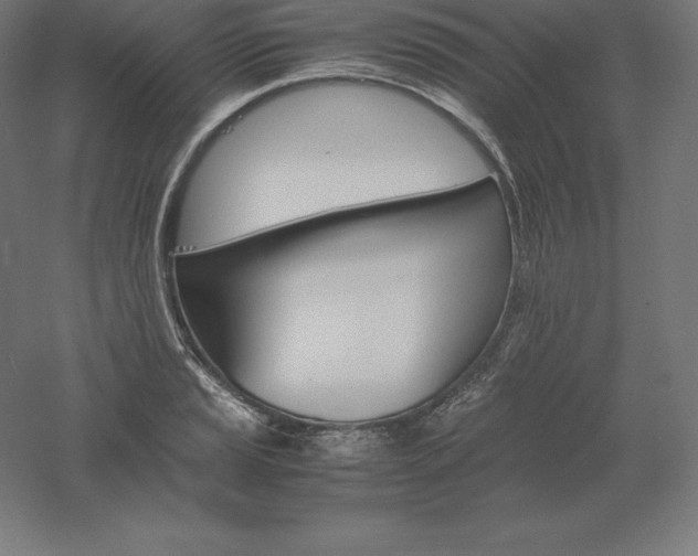 X0000061141037200511241758