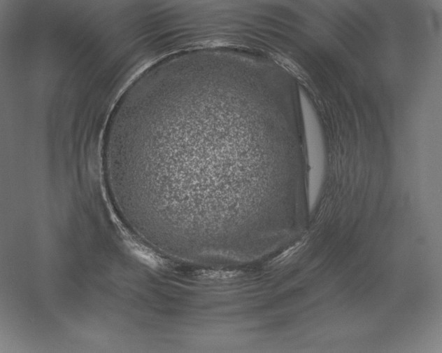 X0000061141039200511241758