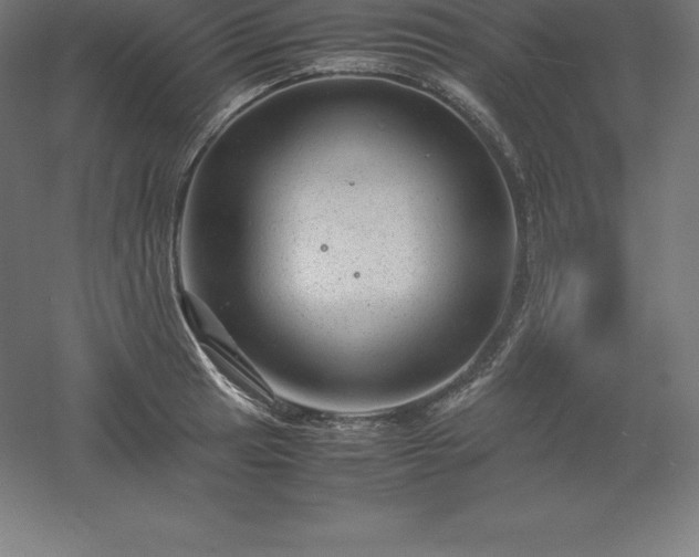 X0000061141041200511241758