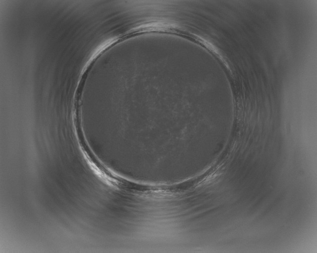 X0000061141042200511241758