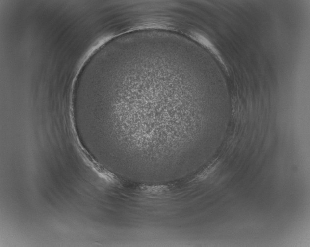 X0000061141043200511241758