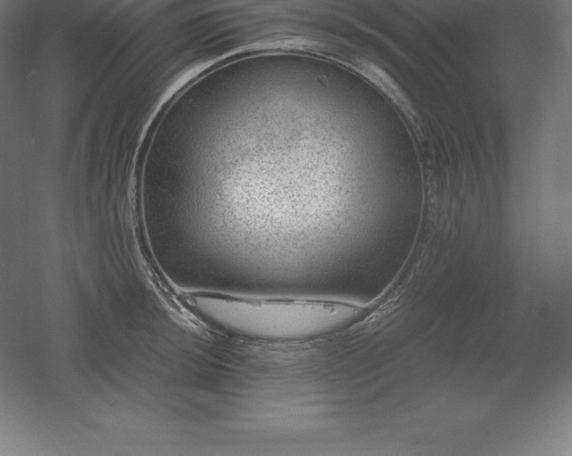 X0000061141044200511241758