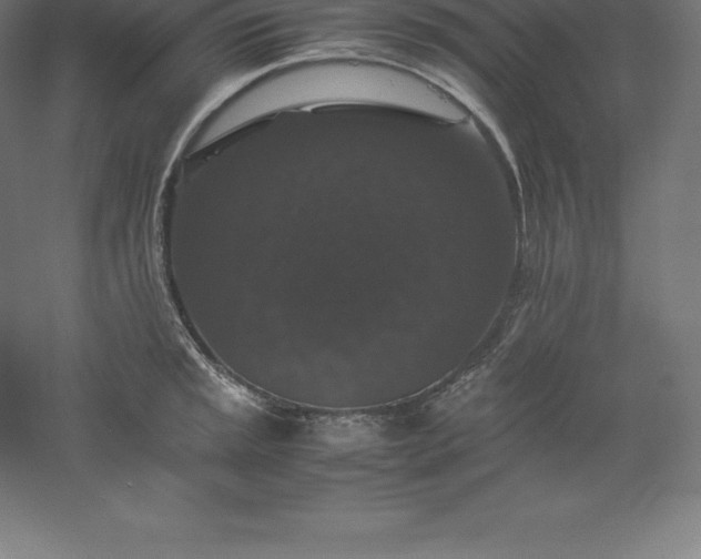 X0000061141045200511241758