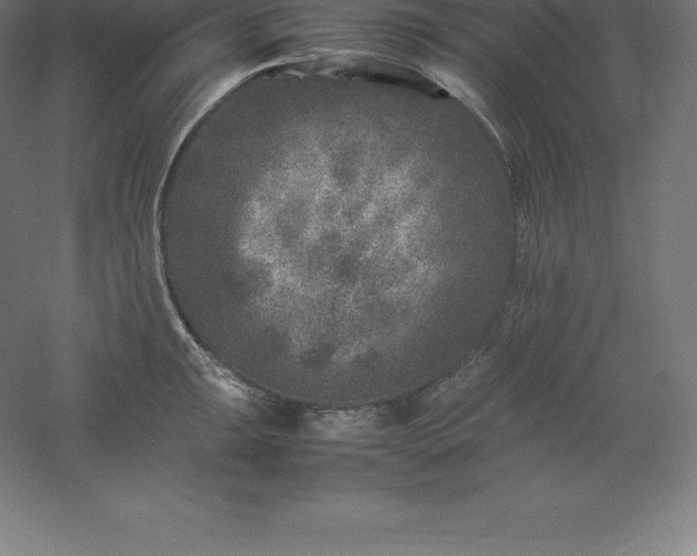 X0000061141047200511241758