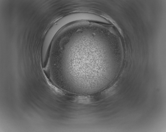 X0000061141049200511241758