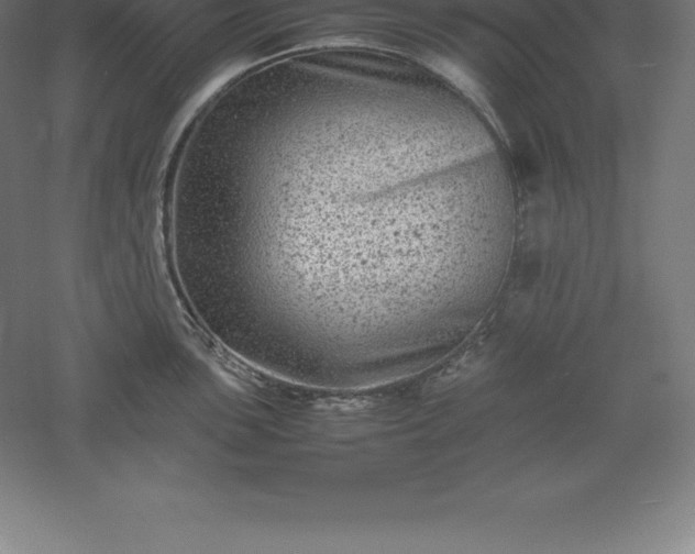 X0000061141051200511241758