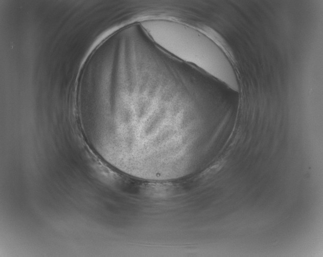 X0000061141052200511241758