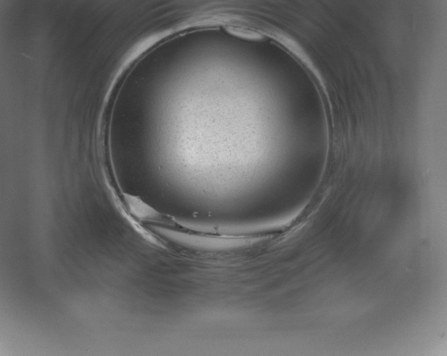 X0000061141053200511241758