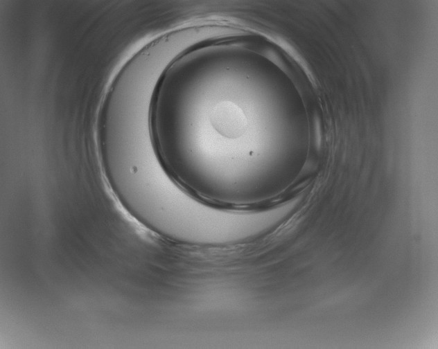 X0000061141054200511241758